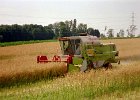 Claas Drescher 33